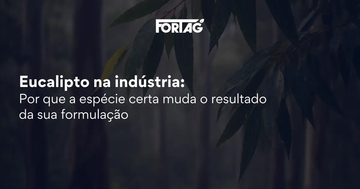 Post-Blog-Espécies-de-Eucalipto